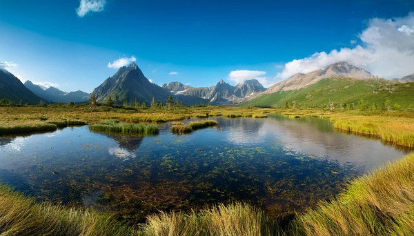 Les meilleures applications pour trouver des vols pas chers