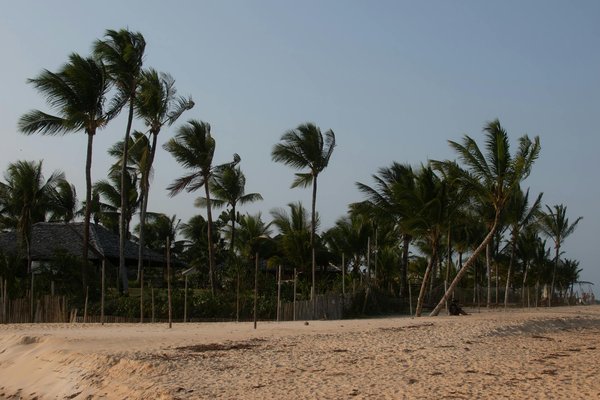 Les cabanes à louer les plus insolites dans le monde