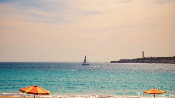 5 raisons pour lesquelles un transfert à Saint-Tropez transforme votre séjour
