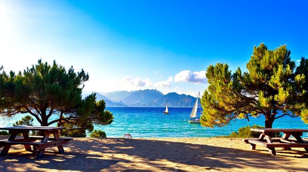 Plongez dans l'aventure au camping les galets à Argelès-sur-Mer